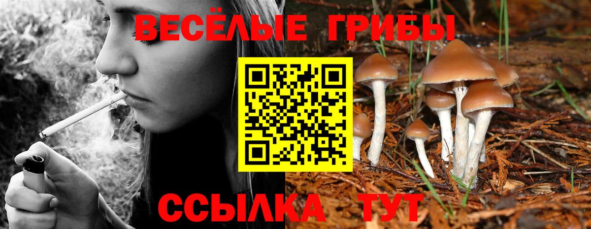 Армавир  Псилоцибиновые грибы Cubensis  Галлюциногенные грибы ЛСД  Вход с VPN 